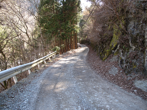 20190121hike (248)